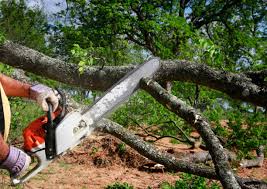 Best Lawn Grading and Leveling  in Beech Grove, IN
