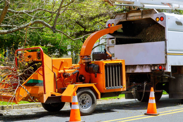  Beech Grove, IN Tree Services Pros