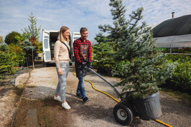 Best Hazardous Tree Removal  in Beech Grove, IN